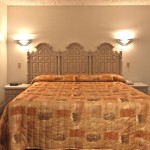 Queen Handicap Room